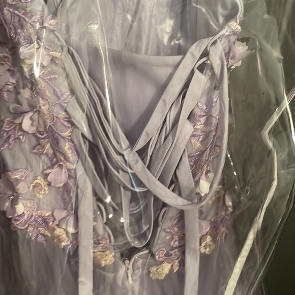 Stunning Lilac Quinceanera/ Prom Dress - Picture 6 of 8